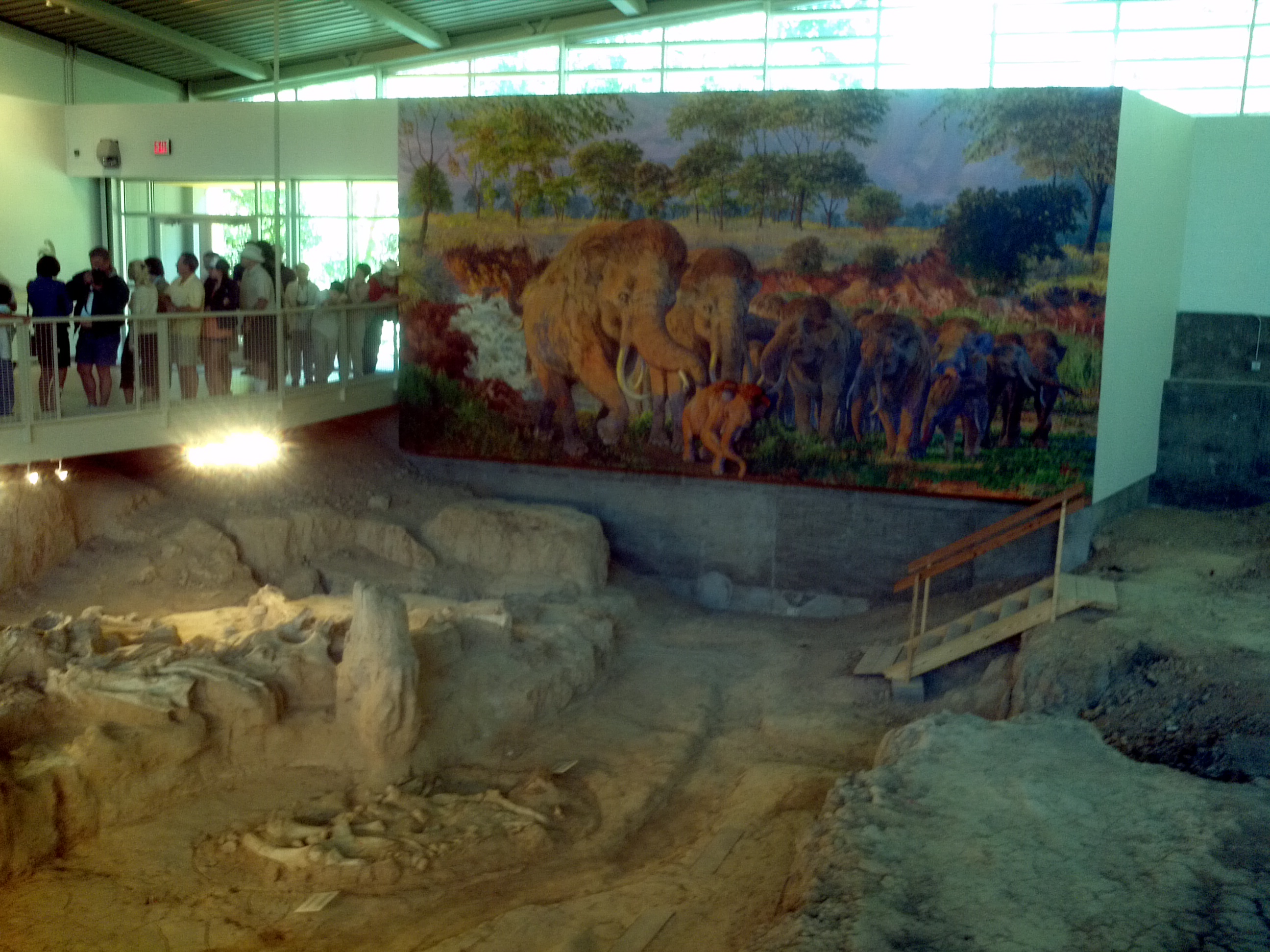 Climate controlled to preserve the bones in the actual site!