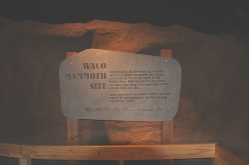 Welcome to the Waco Mammoth Site